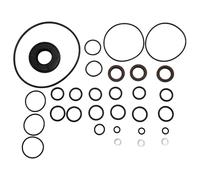 Ricambio Pompa Olio Lavor FW2 per Idropulitrice - Kit Tenute 3.555.1607