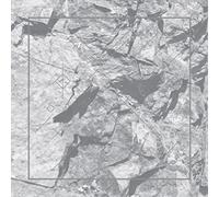 Ricardo Donoso Deterrence (Vinyl LP) 12" Album