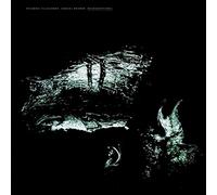 Ricardo Villalobos & Samuel Rohrer - Microgestures - 2X12" (2 LP)