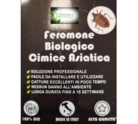 RICARICA COMPLETA PER TRAPPOLA CIMICE ASIATICA BIOLOGICA DURATA FINO A 16 SETTIM