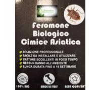 RICARICA COMPLETA PER TRAPPOLA CIMICE ASIATICA BIOLOGICA FINO A 16 SETTIM.