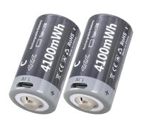 Ricarica rapida C Batterie USB C Cellule al litio 2H Ricarica completa 1000Recharges Integra In Circuito Protezioni 2pcs Batterie Ricaricabili