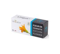 RICARICA SEMI INTEGRATI VERITABLE LINGOT Fiore di zucca Bio