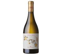 Ricasoli 1141 Torricella Toscana IGT 2023 0,75 ℓ