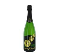 Ricci Curbastro Gualberto Dosage Zero Franciacorta Millesimato