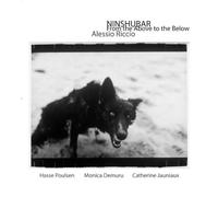 Riccio, Alessio - Ninshubar: From The Above To The Below