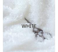 Riccio Orsetto Pelliccia Sintetica Peloso Soffice Peluche Morbido Pile Craft