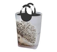 Riccio stampato, Cesto portabiancheria pieghevole, Grande contenitore portaoggetti resistente con manici, 50 litri