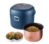 Rice Cooker Capacità 2 L, 200 W, fornello riso per auto, serbatoio antiaderente, funzione di mantenimento al caldo, fornello per riso portatile per auto 12 V 24 V 220 V, acciaio inossidabile senza BPA