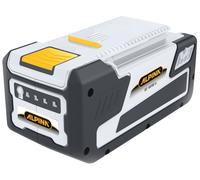 Ricellaggio Pacco Batteria Litio 48V Alpina BT 4048 AE - BT 5048 AE