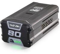 Ricellaggio Pacco Batteria Litio 80V 4AH Alpina SBT4080AE