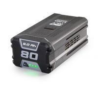 Ricellaggio Pacco Batteria Litio 80V 5AH Alpina SBT5080AE