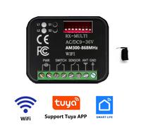 Ricevente WiFi Cancello Universale Multifrequenza 300-868MHz Tuya Google Alexa