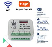 RICEVENTE WIFI CENTRALINA RADIO UNIVERSALE Cancello automatico APP Alexa Google