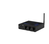 Ricevitore Bluetooth Amplificatore digitale Amplificatore HiFi Classe D Amplificatore stereo,Riproduzione accurata