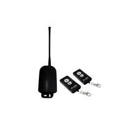 Ricevitore Da Esterno + 2 Radiocomandi 2-12/24V ( G.B.S. cod. 2165 )