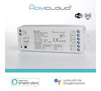 Ricevitore DIM +pulsante 12/36V DC,2CH5A, Wi-Fi+RF 2.4G CCT