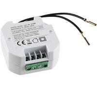 Ricevitore radio WS per "Pilota Casa" 10 canali 2000W