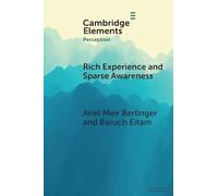 Rich Experience and Sparse Awareness: Sensing More Than We Know