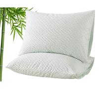 RICHAIR - Copricuscino 50x70 cm Set da 2 Impermeabile - Chiusura a busta - Copricuscino Traspirante Anallergico e Copricuscino Antiacaro in Bambù al 100%