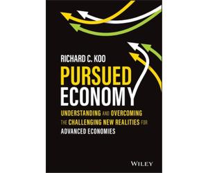 Richard C. Koo Pursued Economy (Copertina rigida)