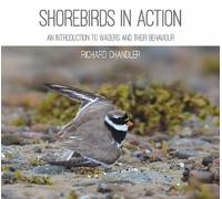 Richard Chandler Shorebirds in Action (Tascabile)