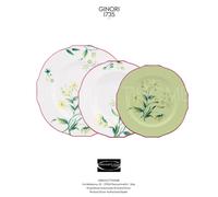 Richard Ginori - Florenza Acanto - Set Servizio Piatti 18 pezzi x 6 persone