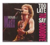 Richard Marx - Too late to say goodbye (#2037512)