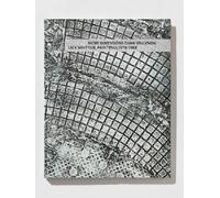 Richard Shiff More Dimensions Than You Know: Jack Whitten, Paintings (Tascabile)