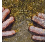 Richard Youngs Autumn Response (Vinyl LP)