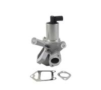 Ricircolo dei gas di scarico EGR OEA6651400560 A6651400660 Valvola di ricircolo dei gas di scarico EGR 6651400660 / Adatta for Ssangyong Rexton Actyon Kyron 2007-2011