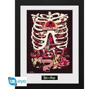 RICK AND MORTY - Framed print "Anatomy Park" (30 0)