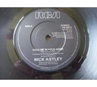 RICK ASTLEY Hold Me In Your Arms UK 7" 45