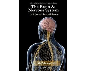 Rick Disler The Brain & Nervous System in Adrenal Insufficiency (Tascabile)