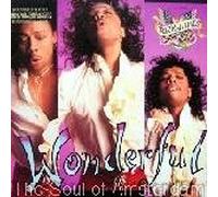 Rick James - Wonderful (US) / Vinyl Maxi Single [Vinyl 12'']