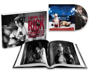 Rick Springfiel Big Hits: Rick Springfield's Greatest Hits, Vol. 2 (Special (CD)