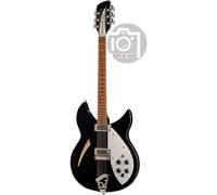 Rickenbacker 330/12 JG