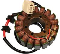 RICK'S MOTORSPORT ELECTRIC 21-126 STATORE PER HONDA CBR 1100 XX BLACKBIRD 2001