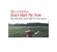 Rico Friebe Don't Hurt Me Now (Rico Puestel's 'Don't Dub Me Now' Remi (Vinyl LP)