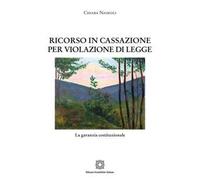 Ricorso in cassazione per violazione di legge