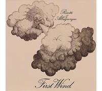 ricotti & albuquerque - first wind