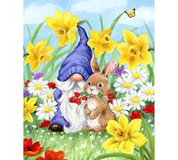 RICUVED Kit per pittura con diamanti a forma di gnomo 5D, con disegno di coniglio, con punta completa, 30,5 x 40,6 cm, per adulti, unisex, non pieghevole