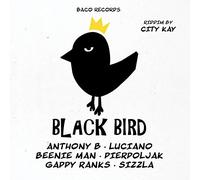 Riddim By City Kay - FAMILY$ BACO RECORDS Black Bird Riddim By City Kay