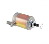 RIDE AND CUSTOM Motorino d'avviamento compatibile con Piaggio Beverly Tourer Euro3 250 2007-2009