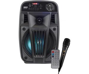 Ridem Casse Attive Trolley 12 W con Luci e Microfono Colore Nero - RIDEM V SINGER