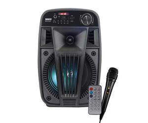 RIDEM V SINGER Diffusore amplificato 100W