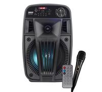 Ridem V Singer Diffusore Amplificato a Batteria 100W Max Portatile con Blueto...