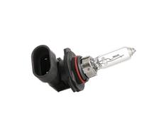 RIDEX Lampade 106B0007 Lampadina, Faro di profondità FIAT,RENAULT,NISSAN,Freemont (345_),DOBLO Cassone / Furgonato / Promiscuo (263)