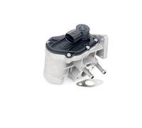 RIDEX 1145E0054 Valvola EGR con guarnizioni per VW Golf V Schrägheck (1K1)