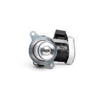 RIDEX 1145E0072 Valvola EGR
